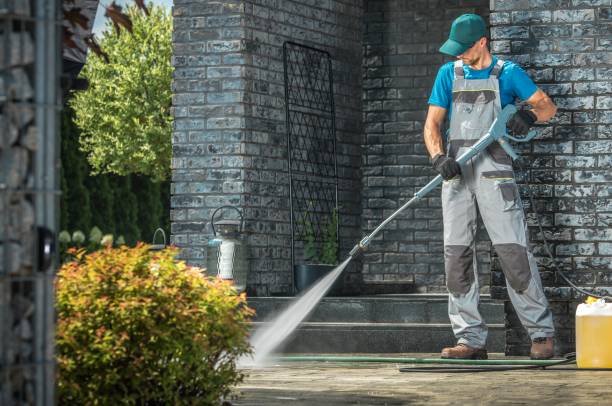 Best Window and Screen Pressure Cleaning in Momence, IL